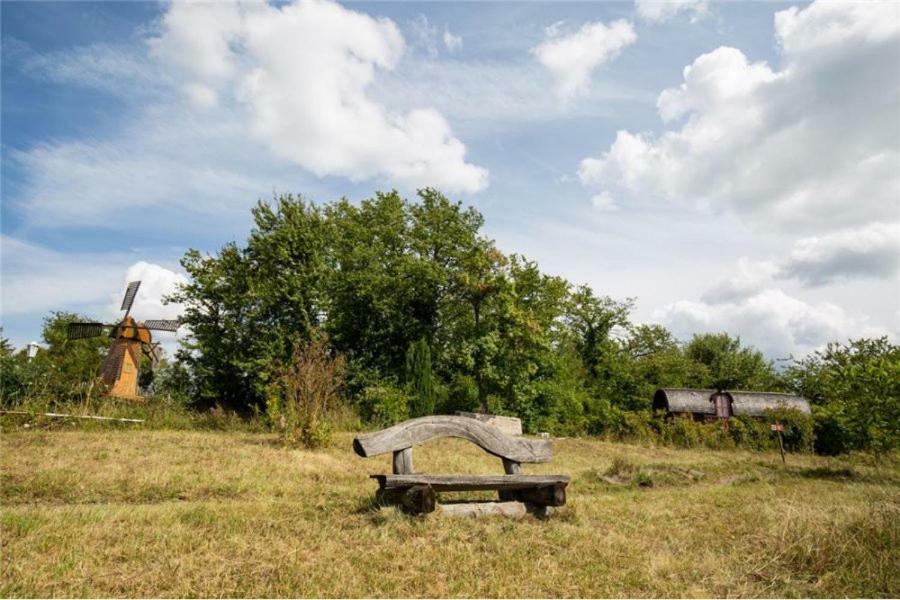 Le Chalet Du Chemin Et Sa Roulotte Berviller-en-Moselle 외부 사진