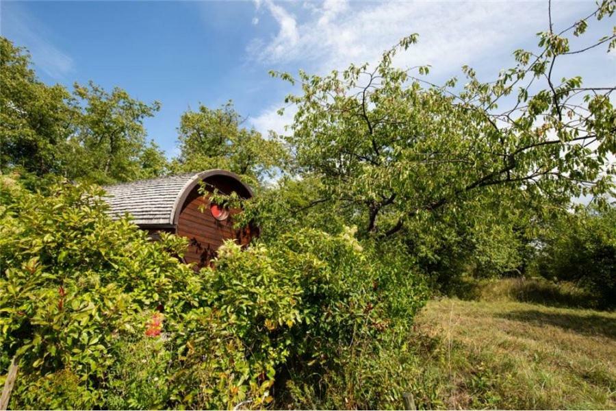 Le Chalet Du Chemin Et Sa Roulotte Berviller-en-Moselle 외부 사진