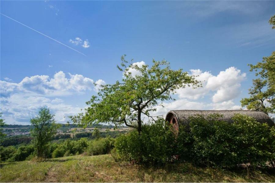 Le Chalet Du Chemin Et Sa Roulotte Berviller-en-Moselle 외부 사진